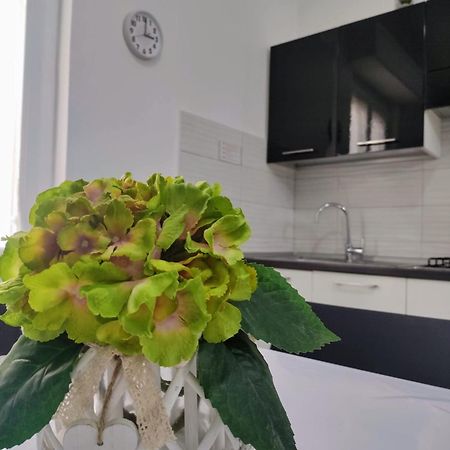 La Dormidera Apartment Алгеро Екстериор снимка